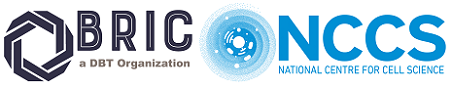 IC3R Conference 2025
