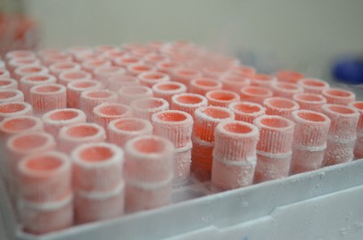 Cell Repository